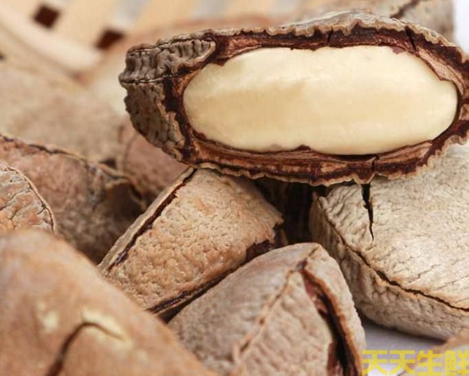 鲍鱼果(图1) 鲍鱼果(图1)