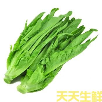 蔬菜配送—上海青(图1) 蔬菜配送—上海青(图1)