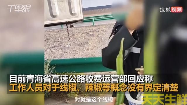 ߽ɫ߲ͨ͹˾лҪ˵(ͼ3)